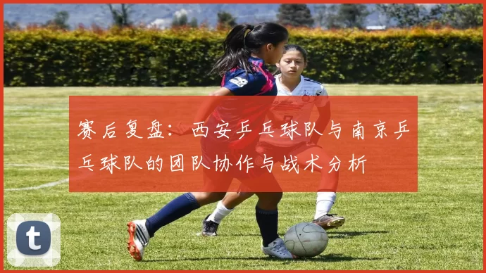 赛后复盘：西安乒乓球队与南京乒乓球队的团队协作与战术分析