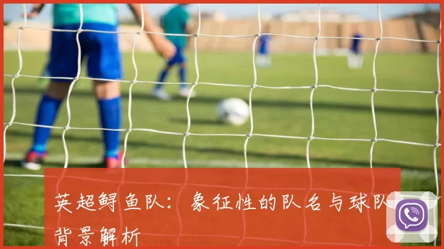 英超鲟鱼队：象征性的队名与球队背景解析