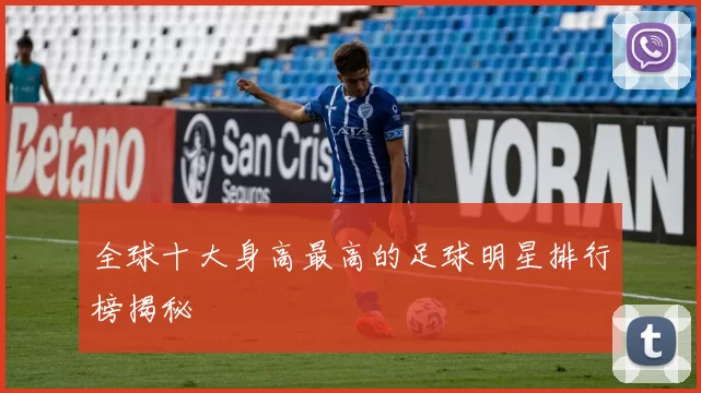全球十大身高最高的足球明星排行榜揭秘