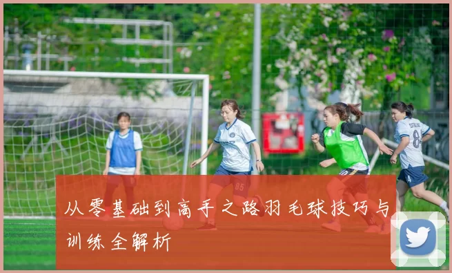 从零基础到高手之路羽毛球技巧与训练全解析