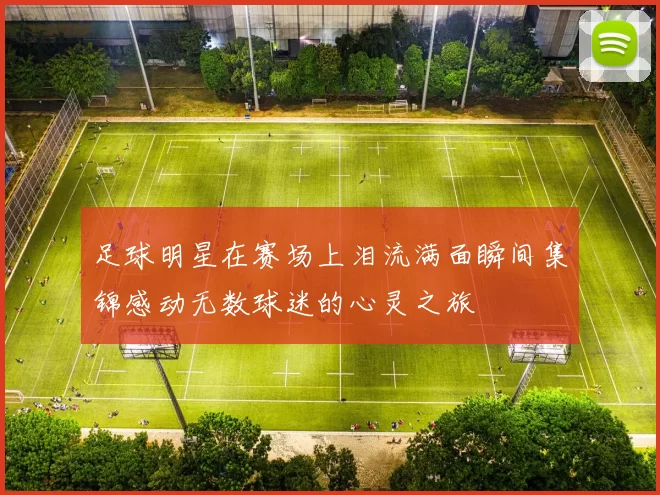 足球明星在赛场上泪流满面瞬间集锦感动无数球迷的心灵之旅