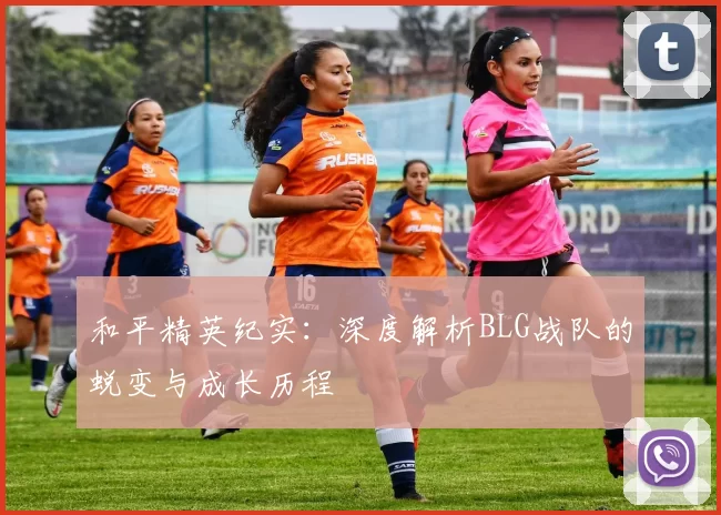 和平精英纪实：深度解析BLG战队的蜕变与成长历程