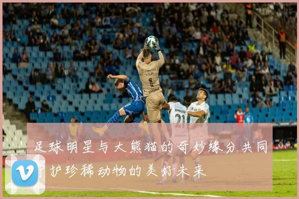 足球明星与大熊猫的奇妙缘分共同守护珍稀动物的美好未来