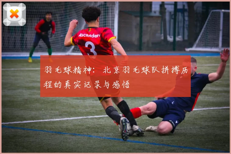 羽毛球精神：北京羽毛球队拼搏历程的真实记录与感悟