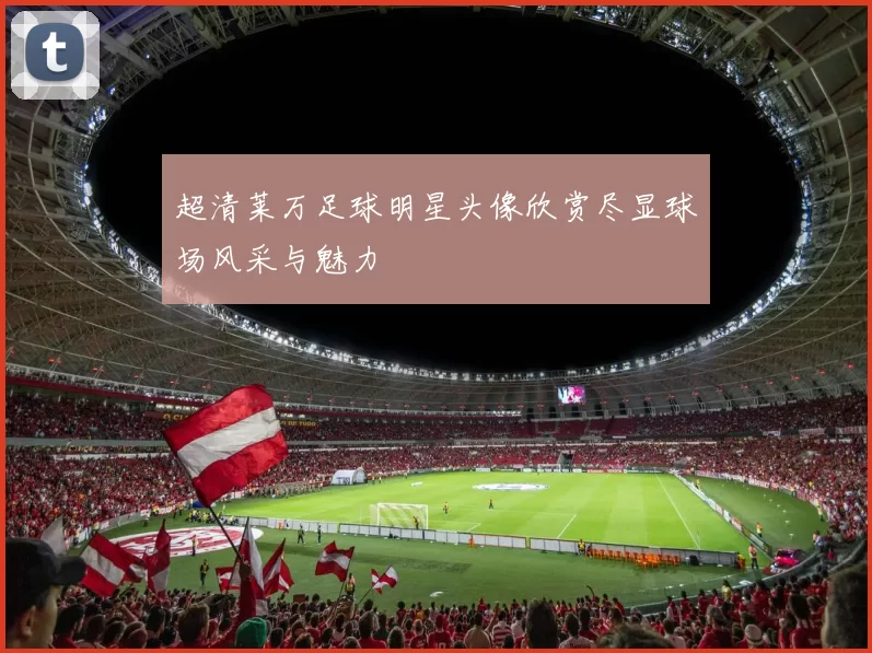 超清莱万足球明星头像欣赏尽显球场风采与魅力