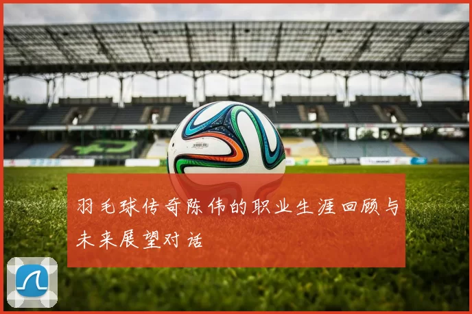 羽毛球传奇陈伟的职业生涯回顾与未来展望对话