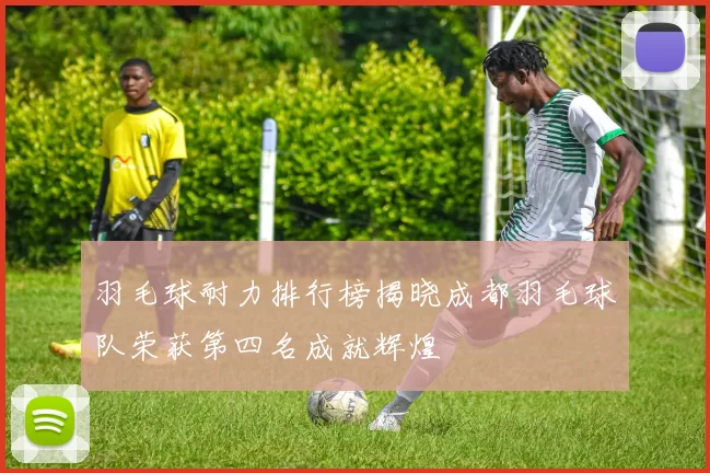 羽毛球耐力排行榜揭晓成都羽毛球队荣获第四名成就辉煌