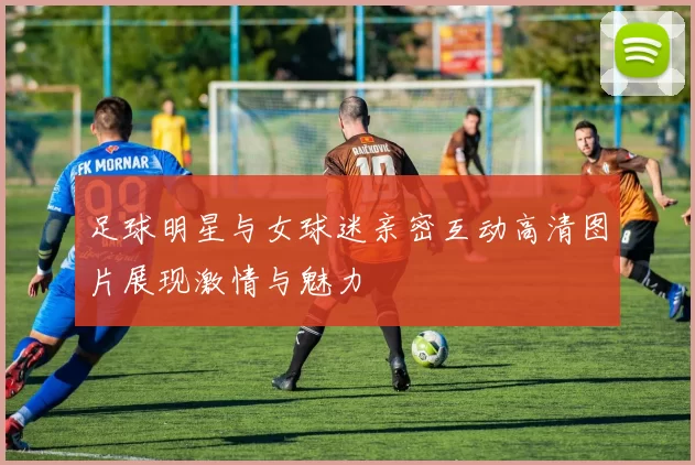 足球明星与女球迷亲密互动高清图片展现激情与魅力