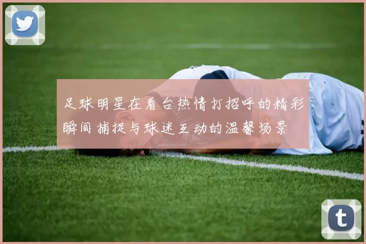 足球明星在看台热情打招呼的精彩瞬间捕捉与球迷互动的温馨场景